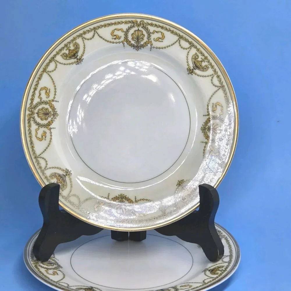 Haviland limoges eugenie
